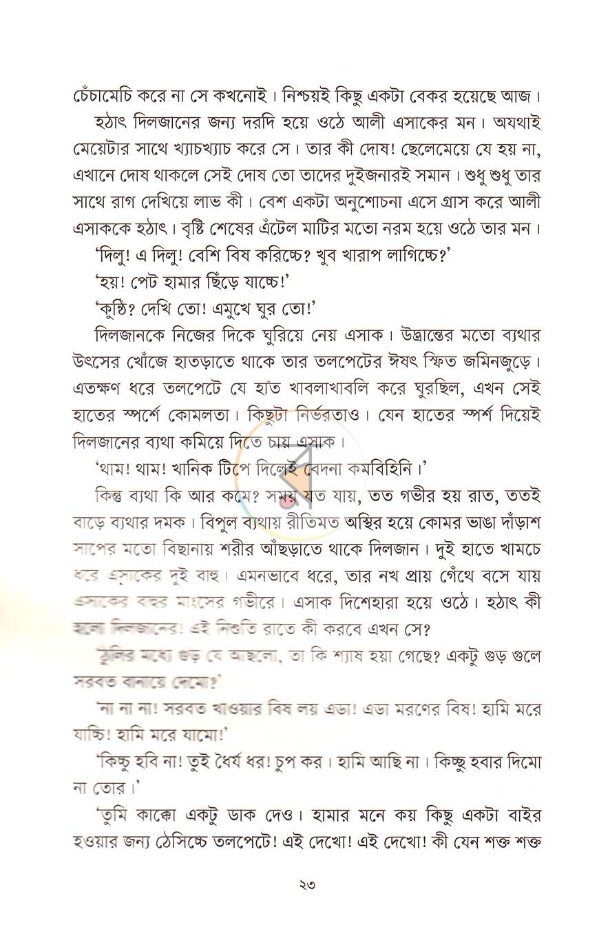 পাতা 13