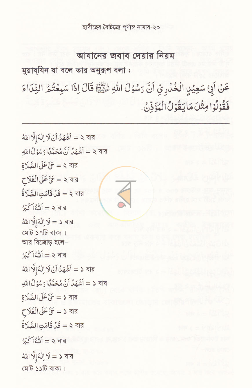 পাতা 11
