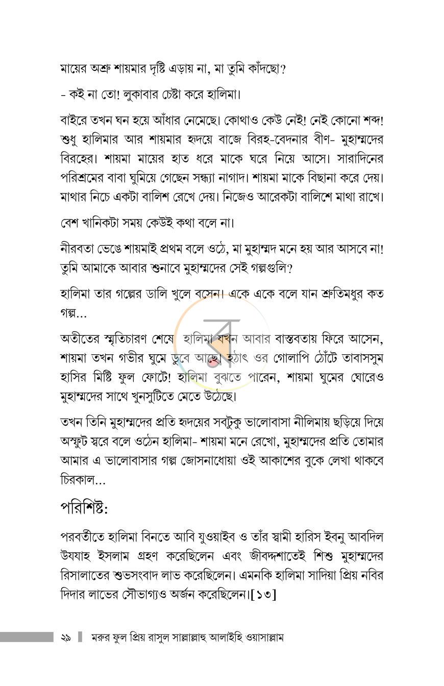 পাতা 13