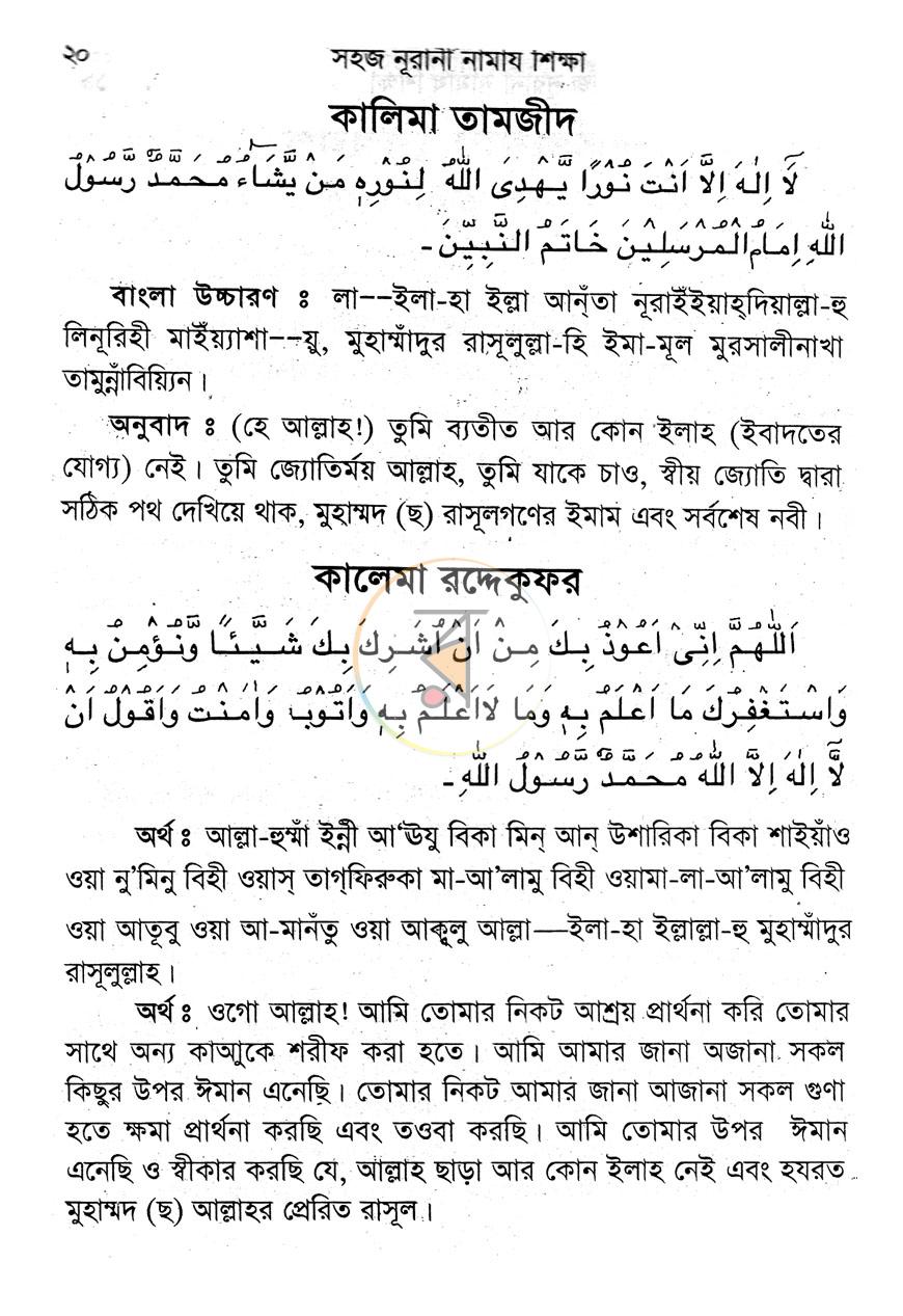 পাতা 8
