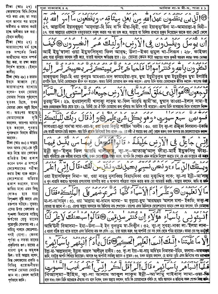 পাতা 9