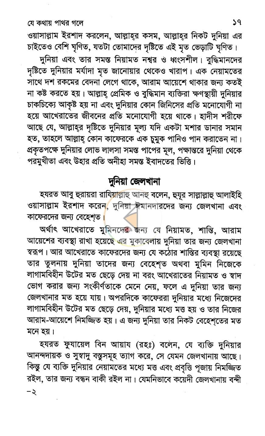 পাতা 11
