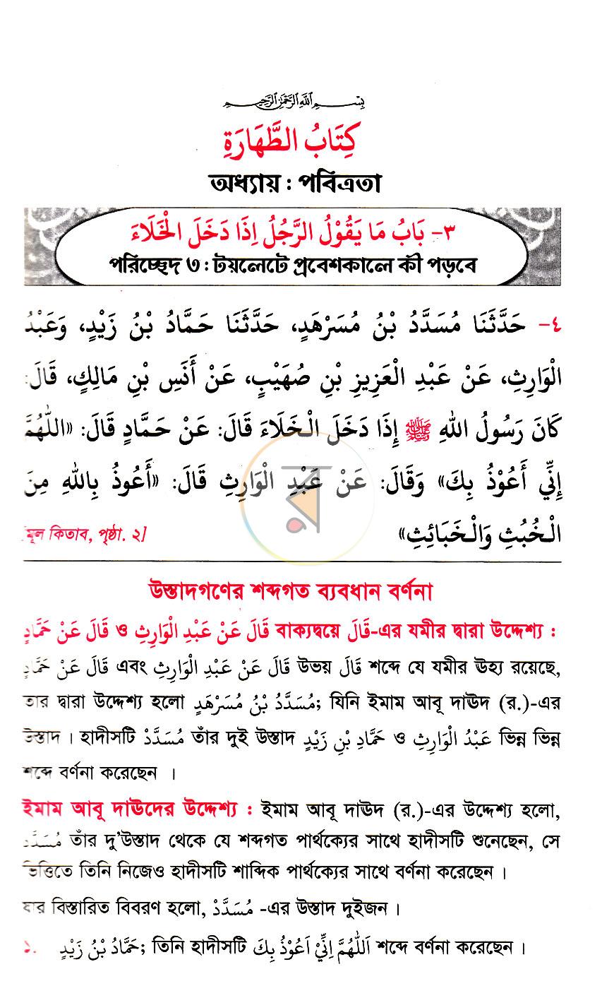 পাতা 16