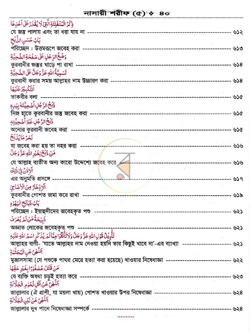 পাতা 13
