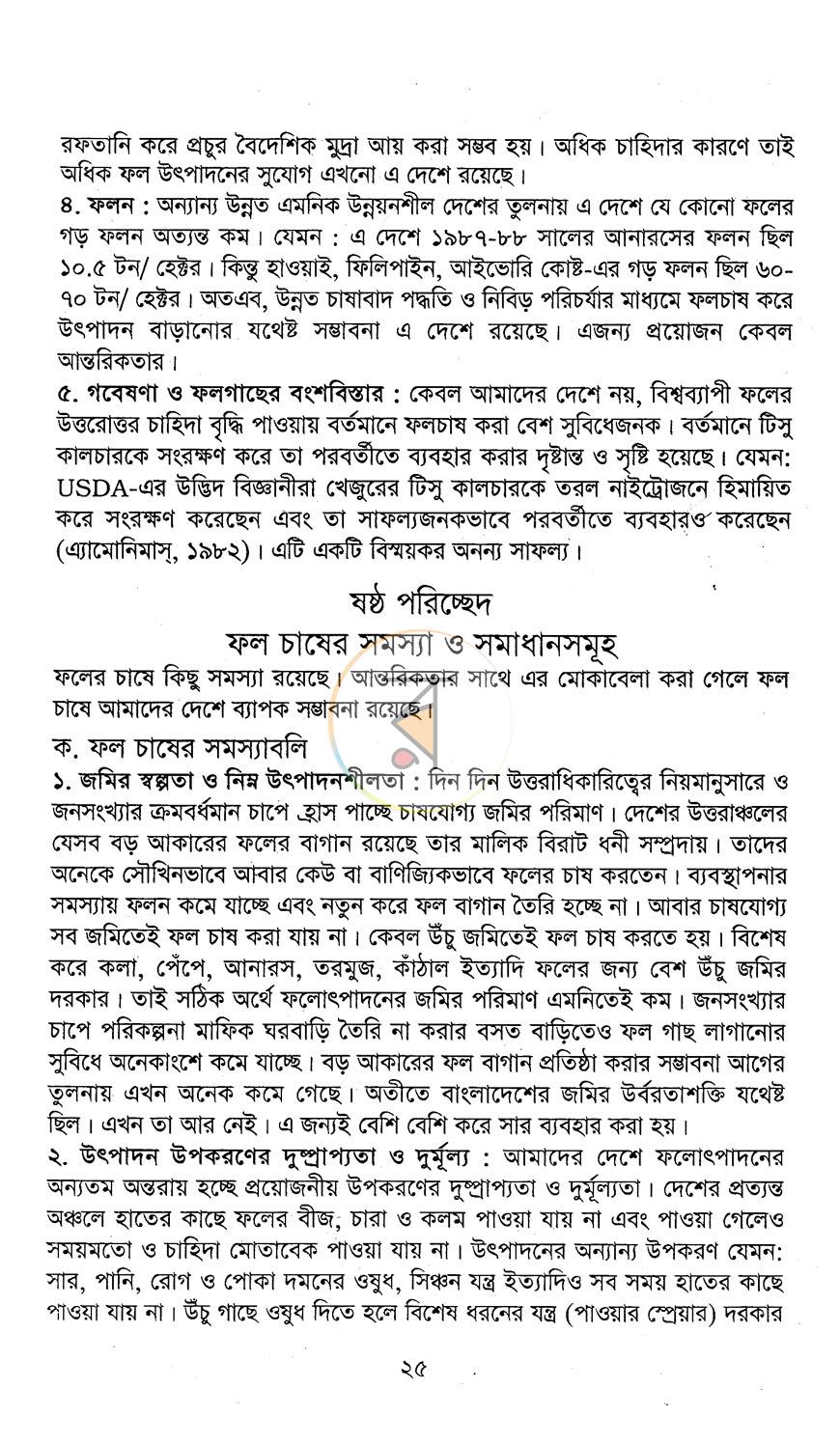 পাতা 13