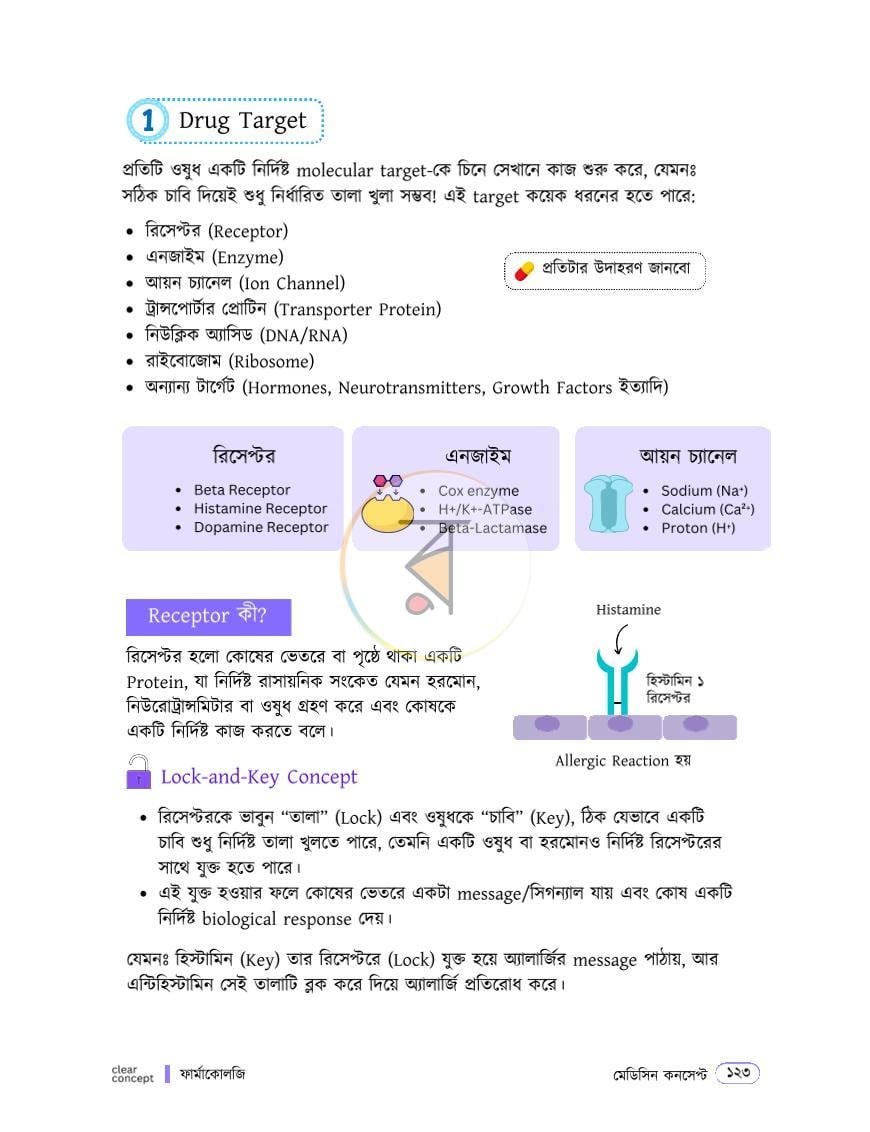 পাতা 11
