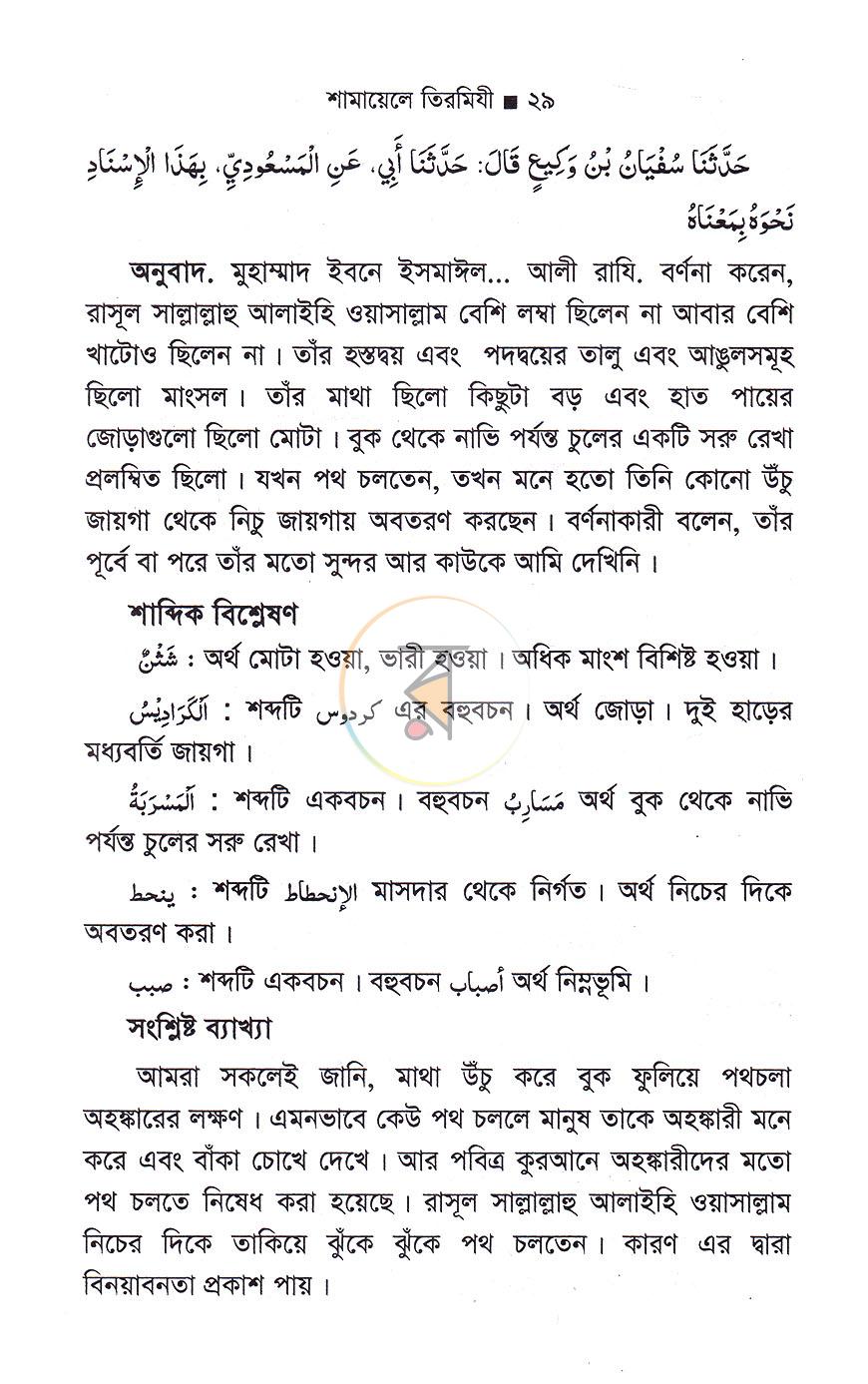 পাতা 13