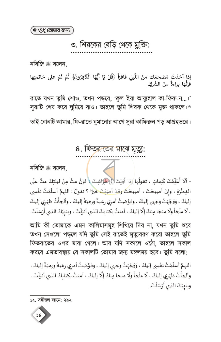 পাতা 12