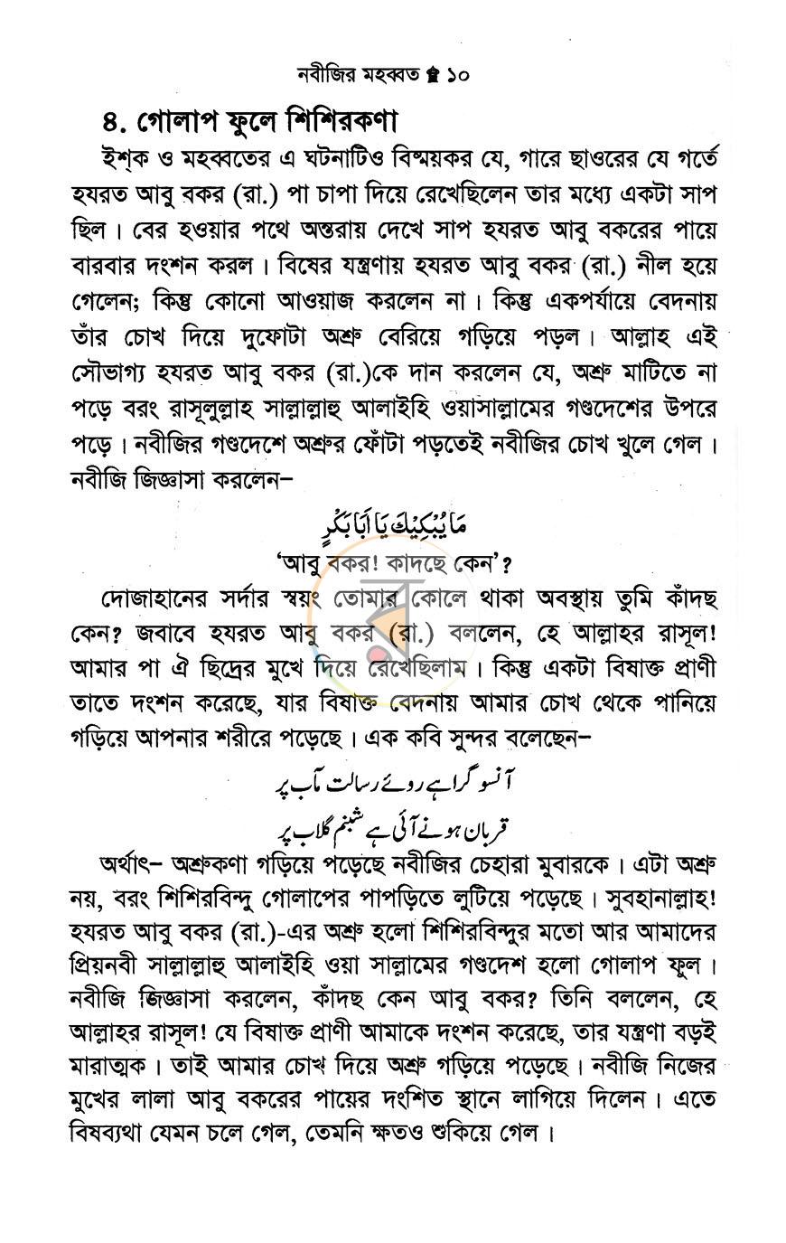 পাতা 10