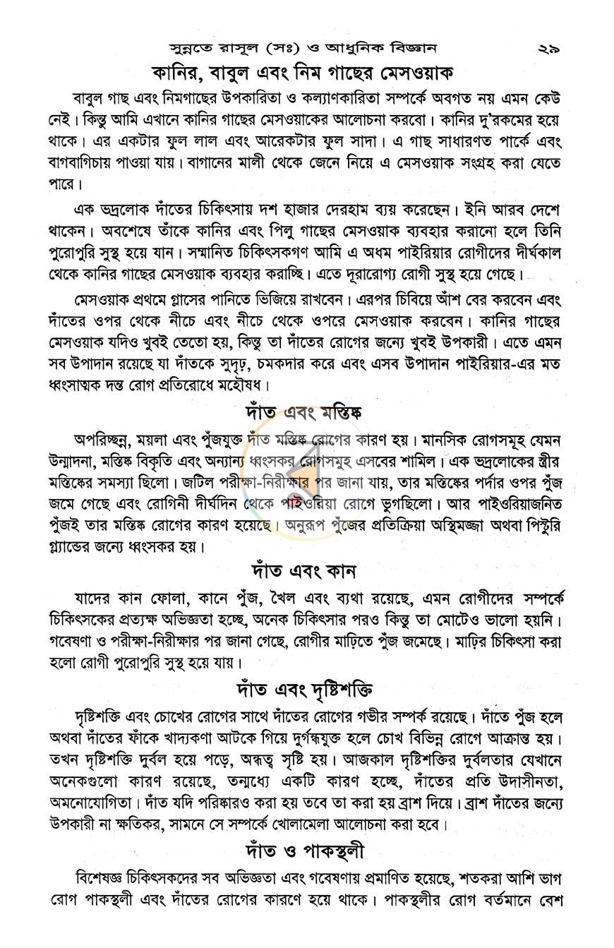 পাতা 11