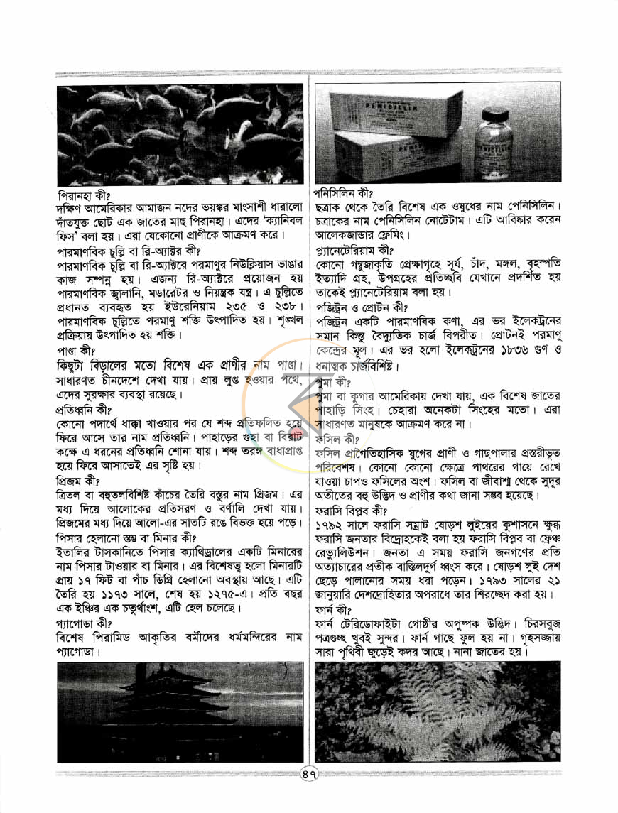 পাতা 10