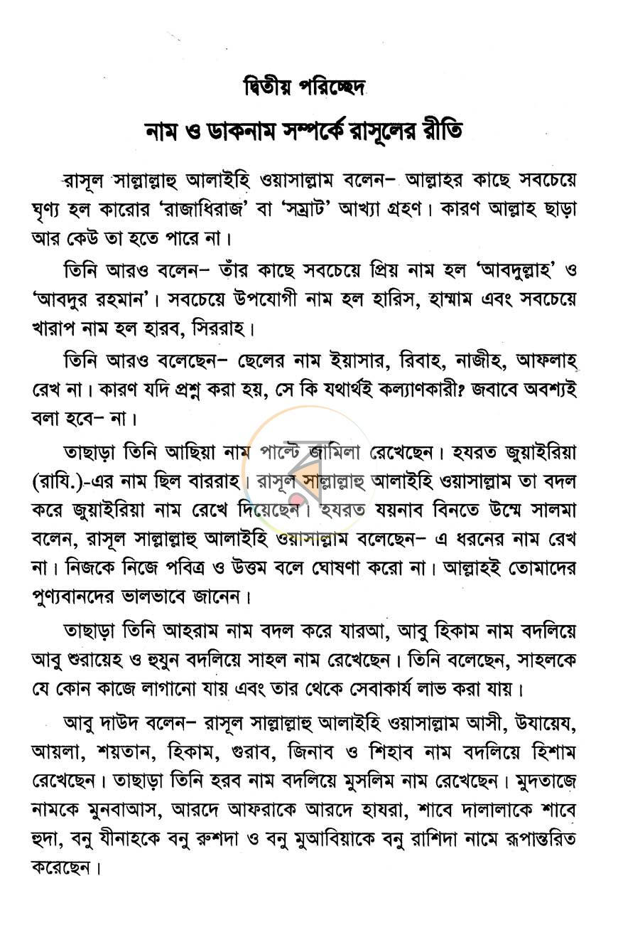 পাতা 13