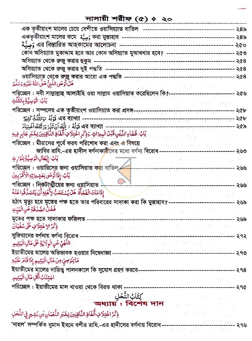 পাতা 11