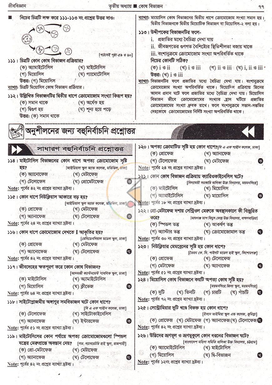 পাতা 10