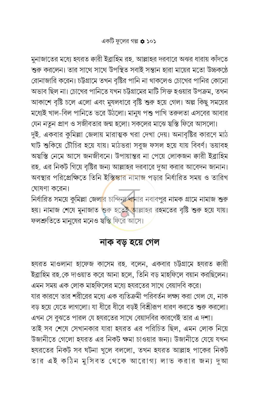 পাতা 11