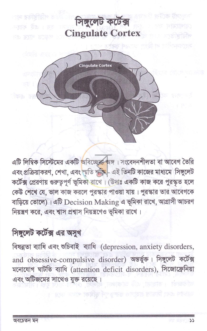 পাতা 10