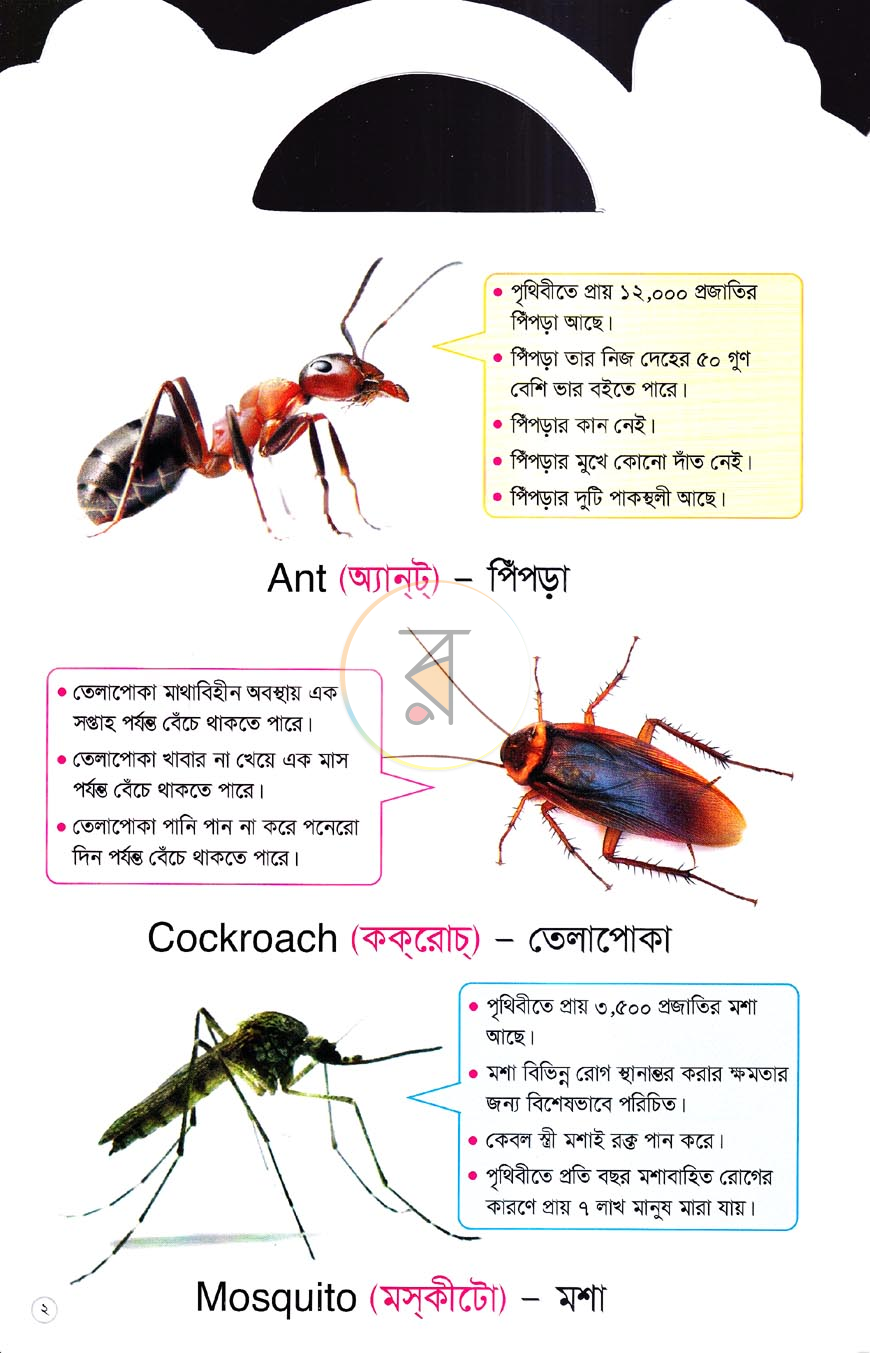পাতা 1