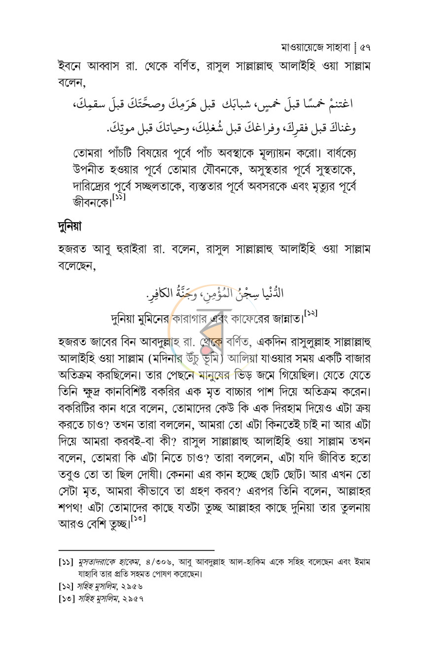 পাতা 20