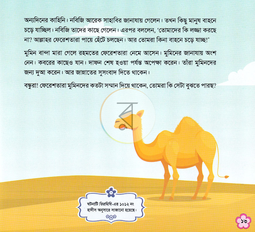 পাতা 11