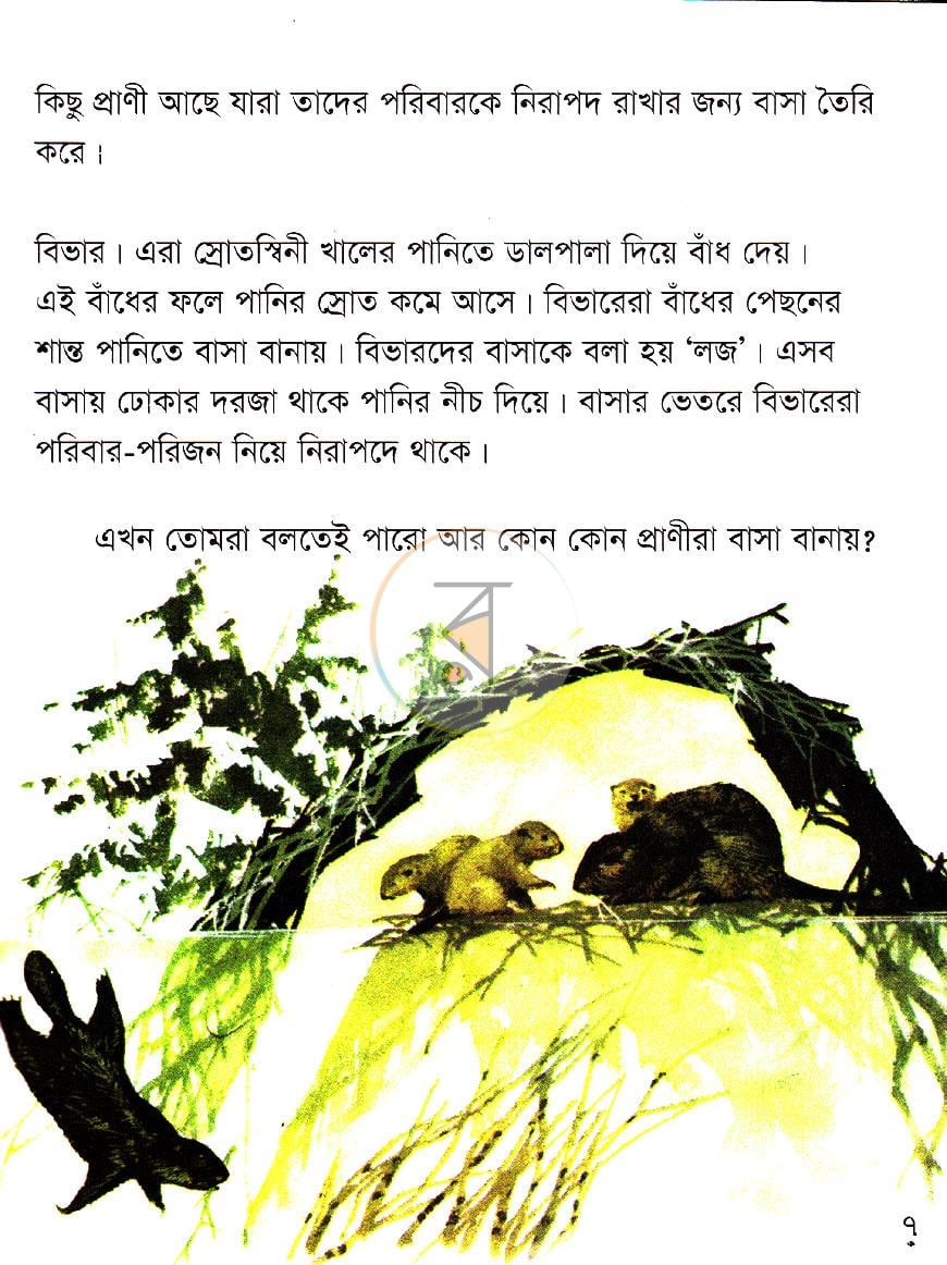 পাতা 5