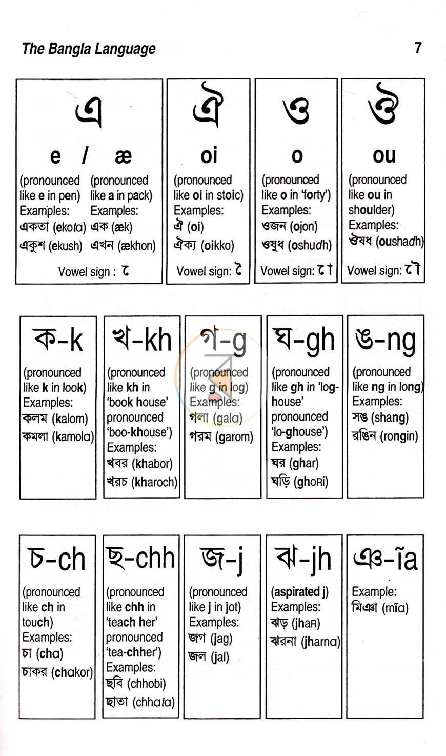 পাতা 9
