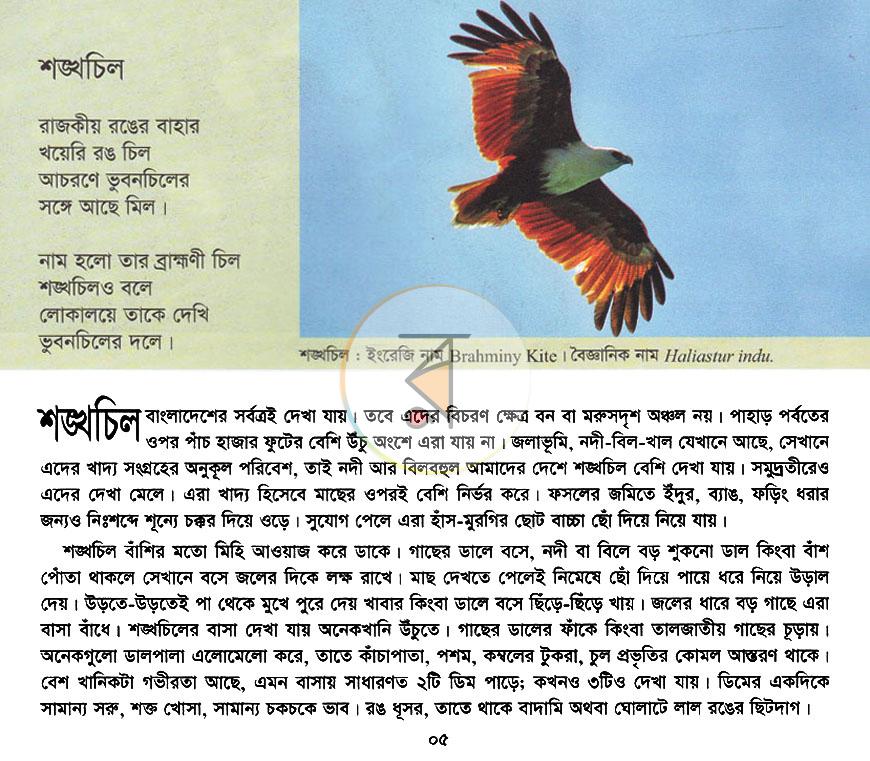 পাতা 3
