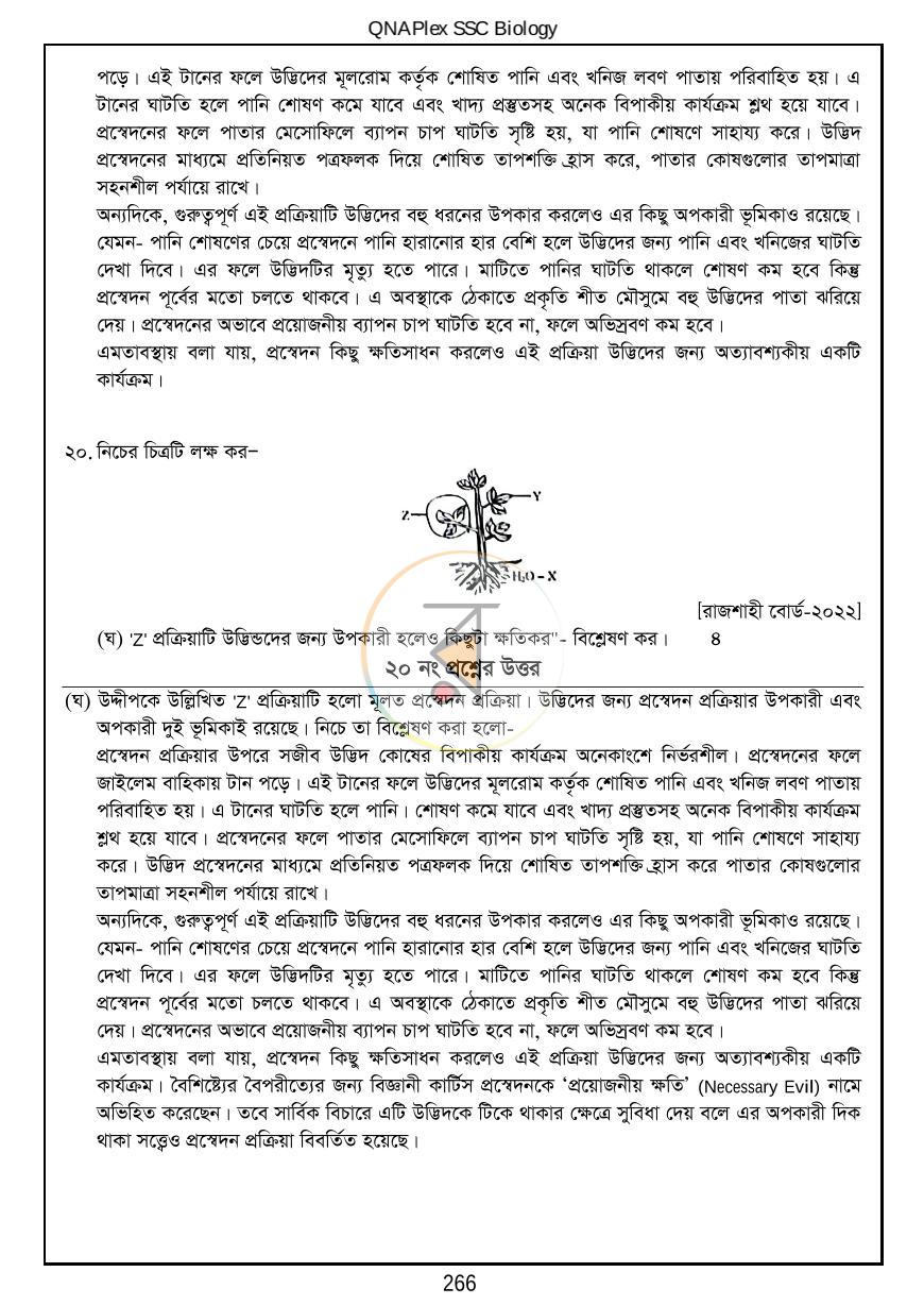 পাতা 28