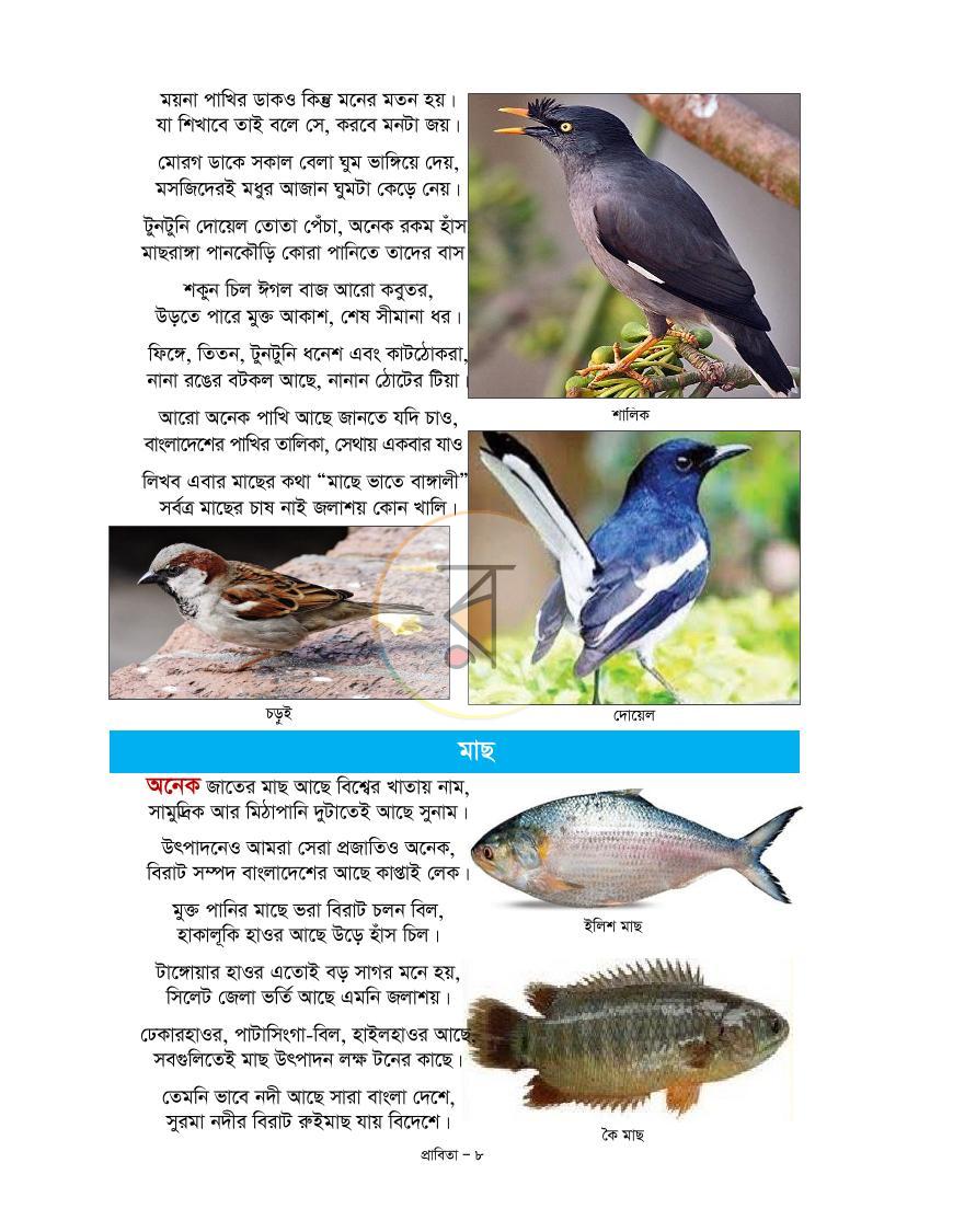 পাতা 2