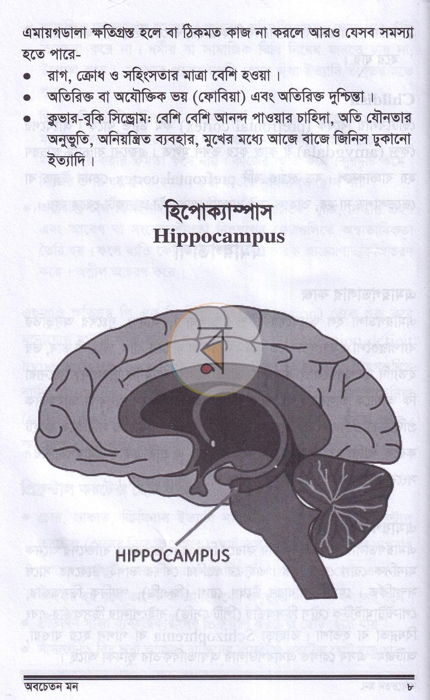 পাতা 9