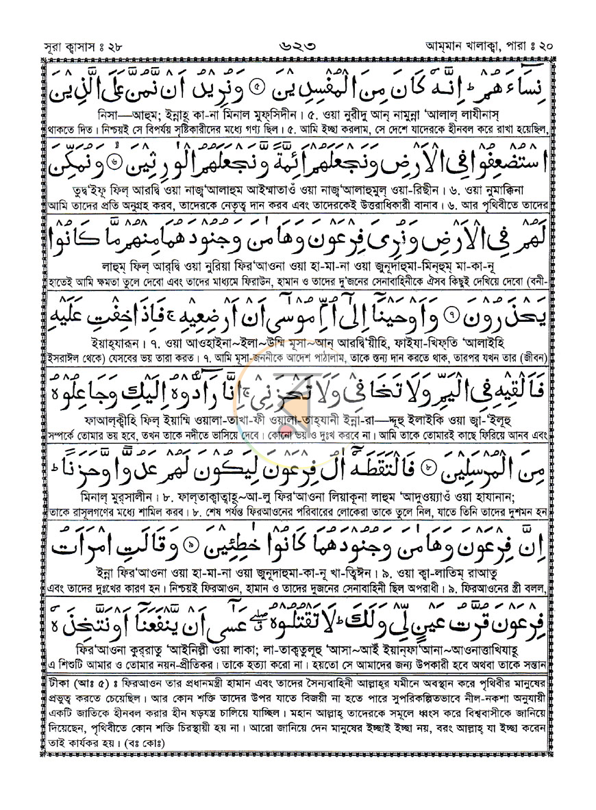 পাতা 8