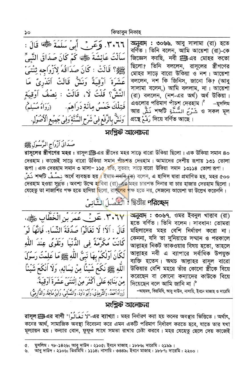 পাতা 13