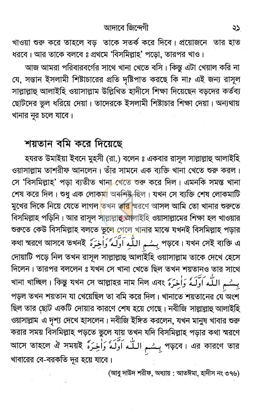 পাতা 13
