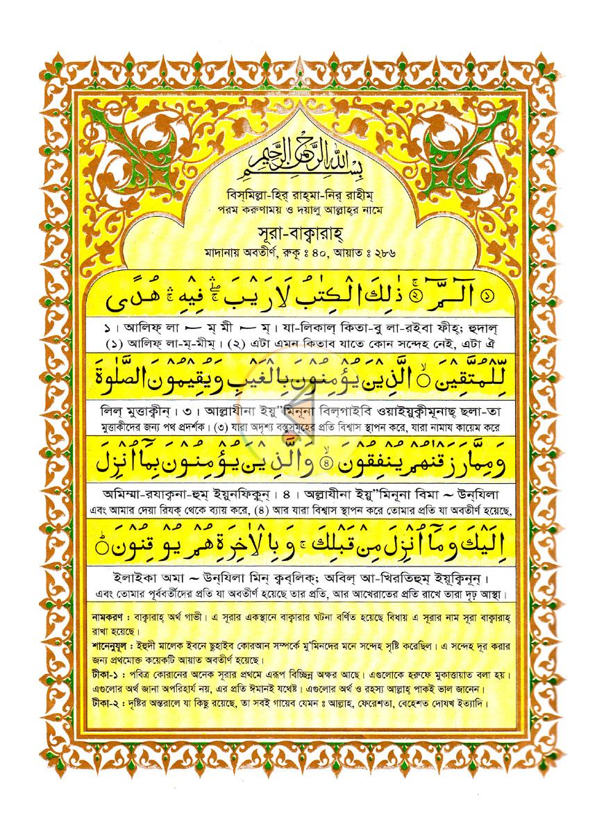পাতা 8
