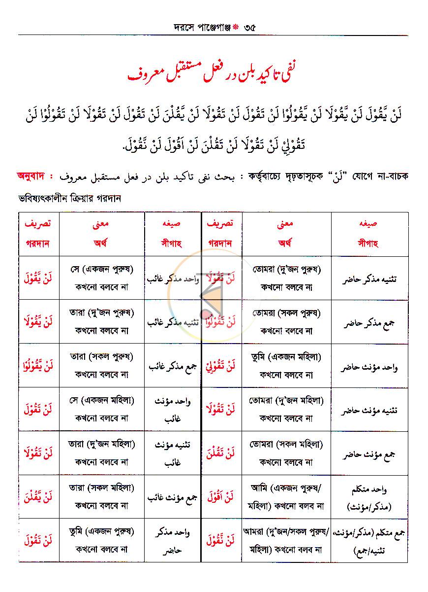 পাতা 17