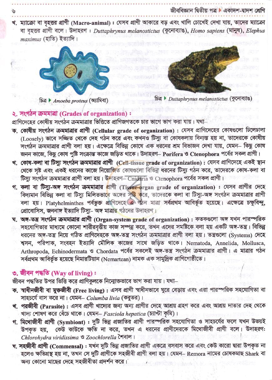পাতা 8