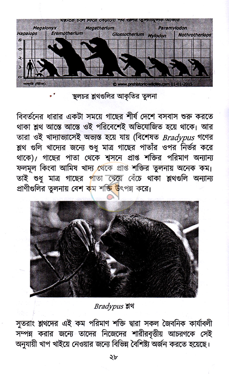 পাতা 13