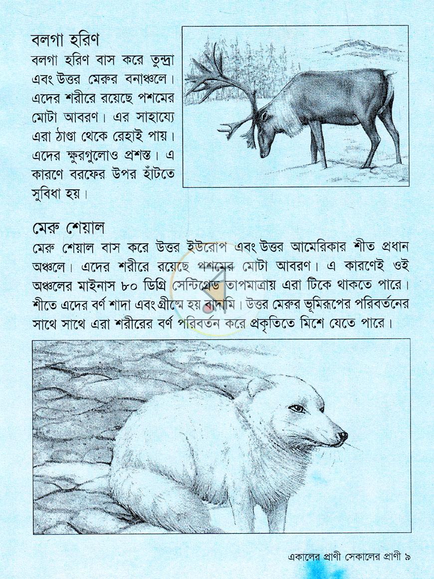 পাতা 7