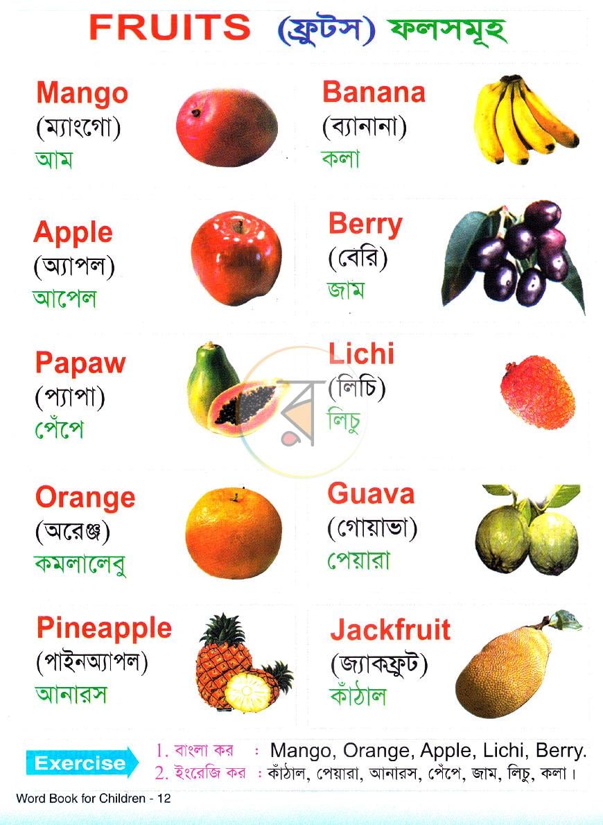 পাতা 3