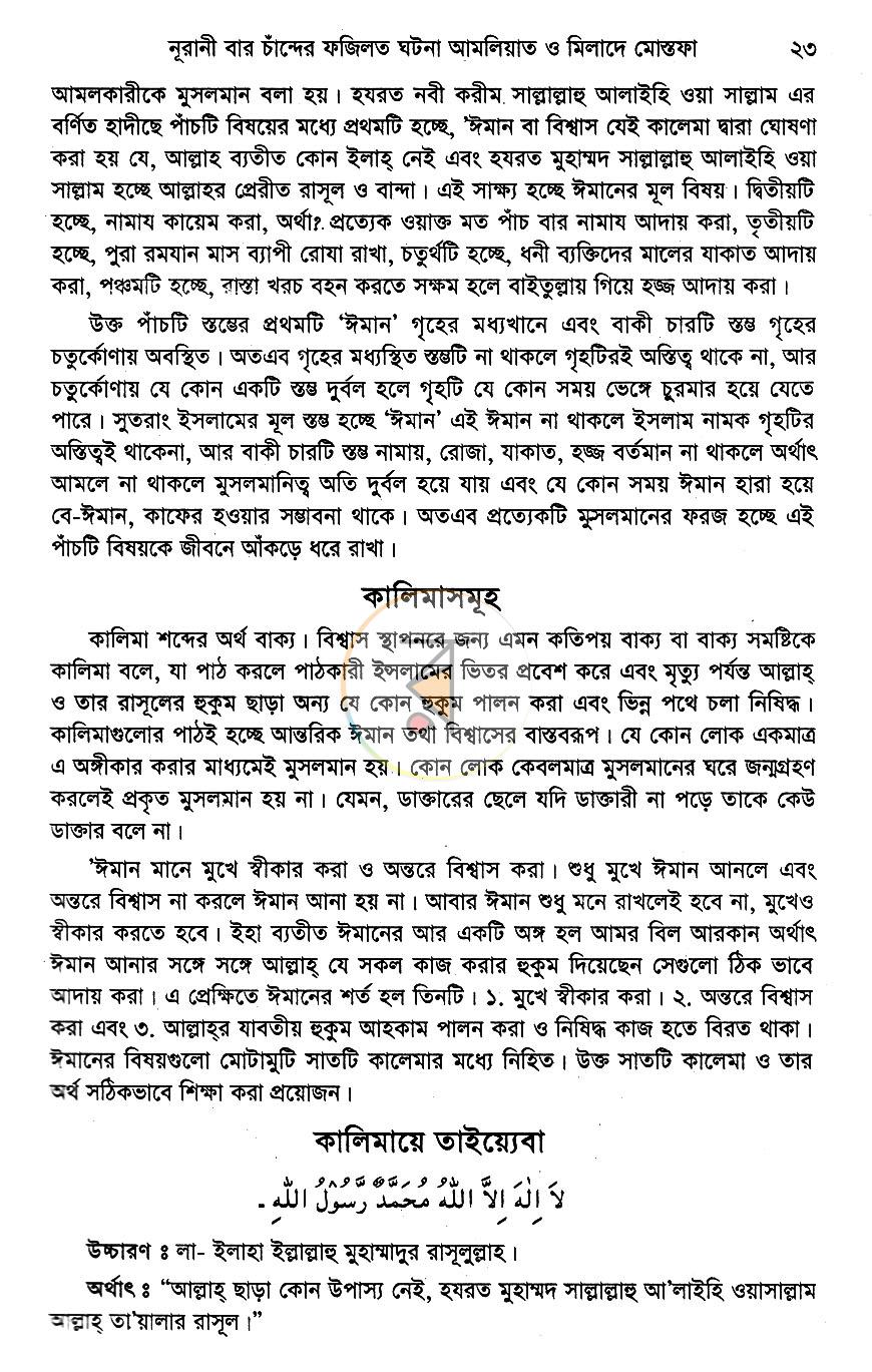 পাতা 11