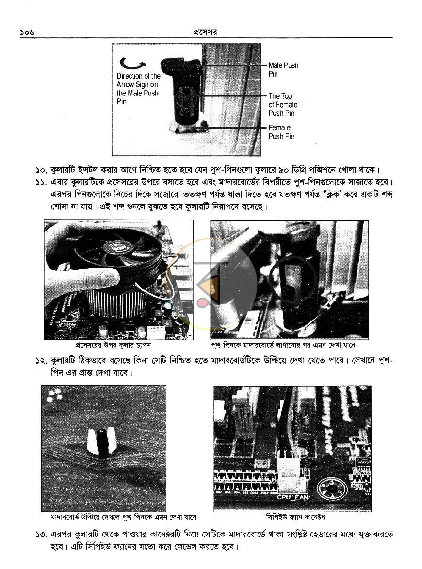 পাতা 13
