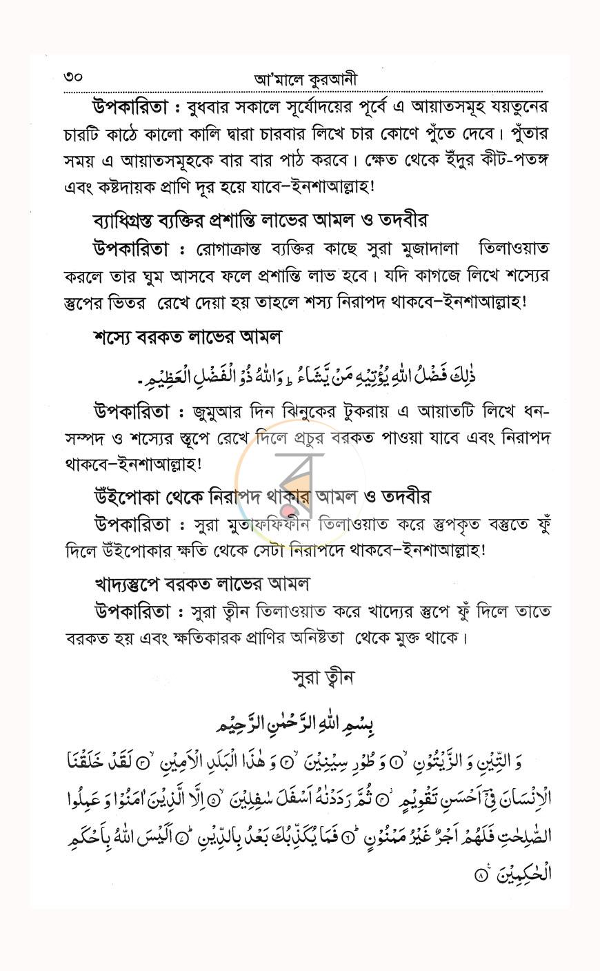 পাতা 10