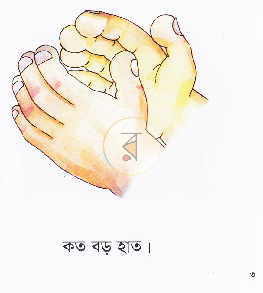 পাতা 3