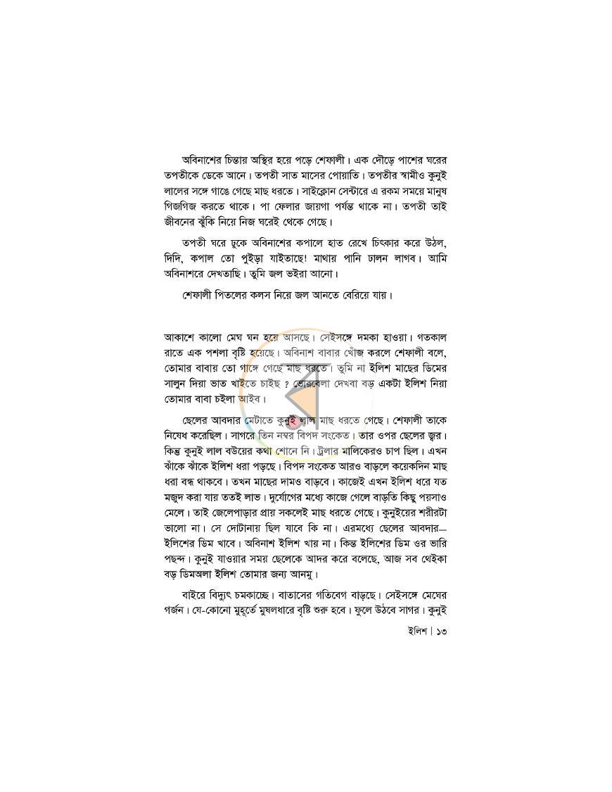 পাতা 13