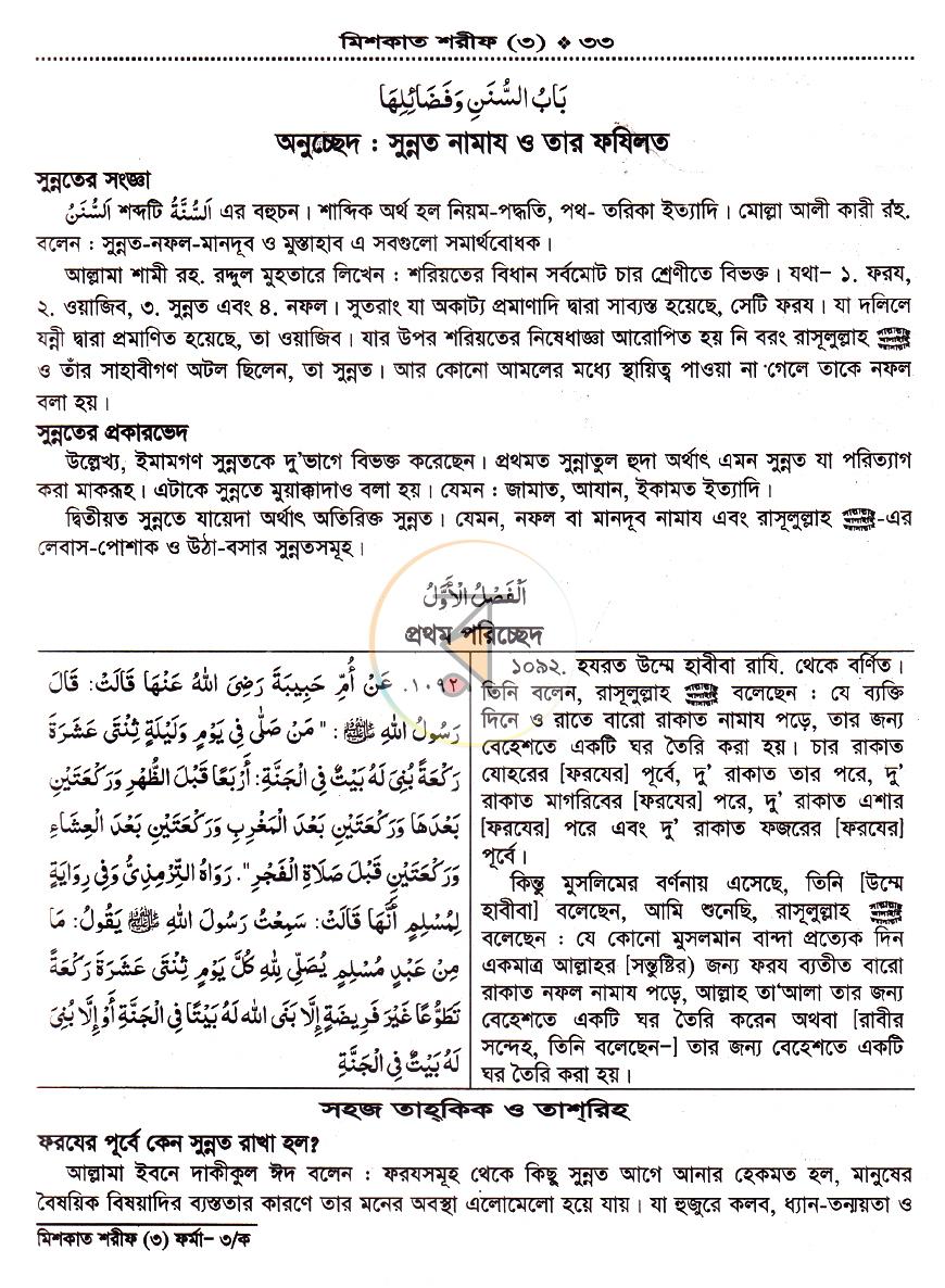 পাতা 13