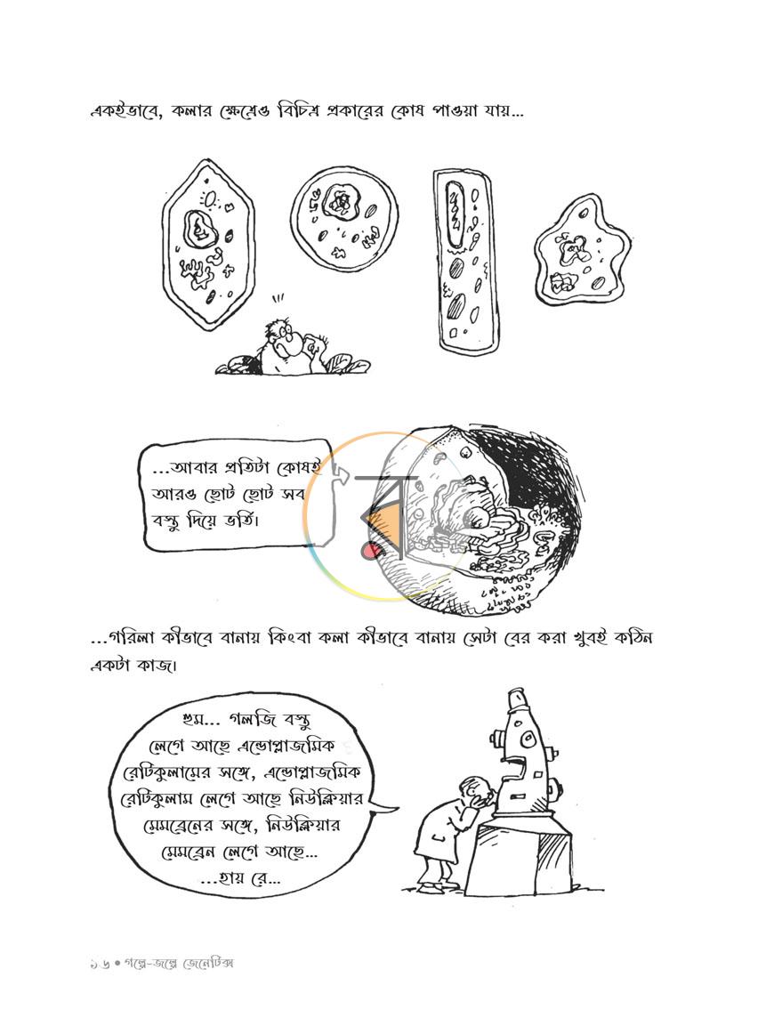 পাতা 27