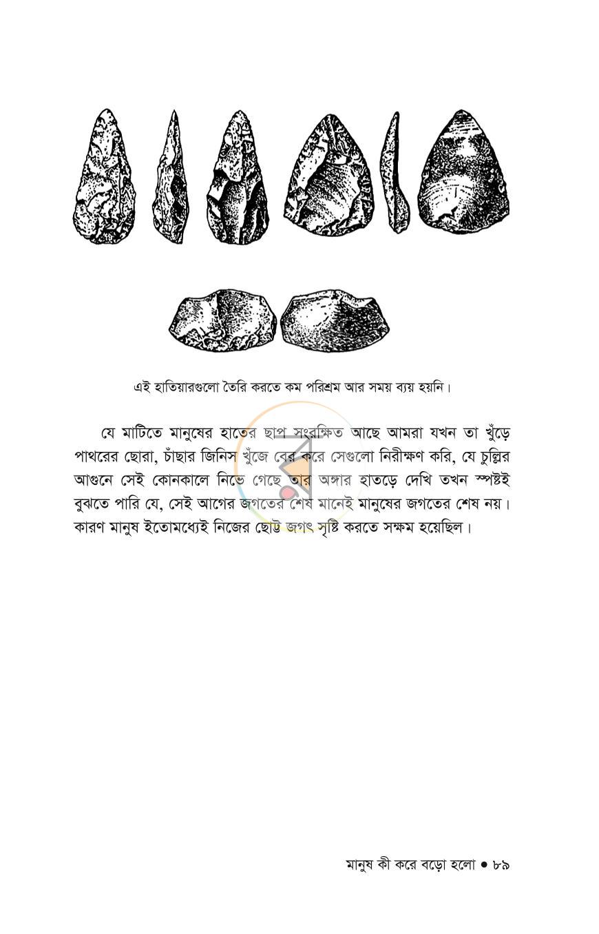 পাতা 30