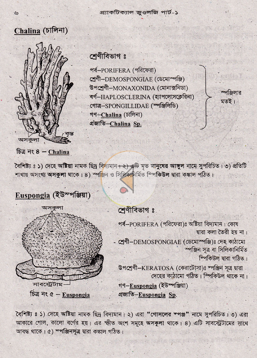 পাতা 10