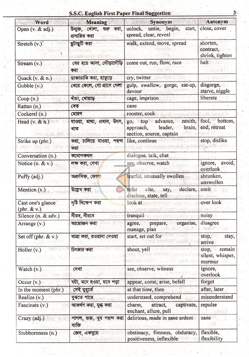 পাতা 8