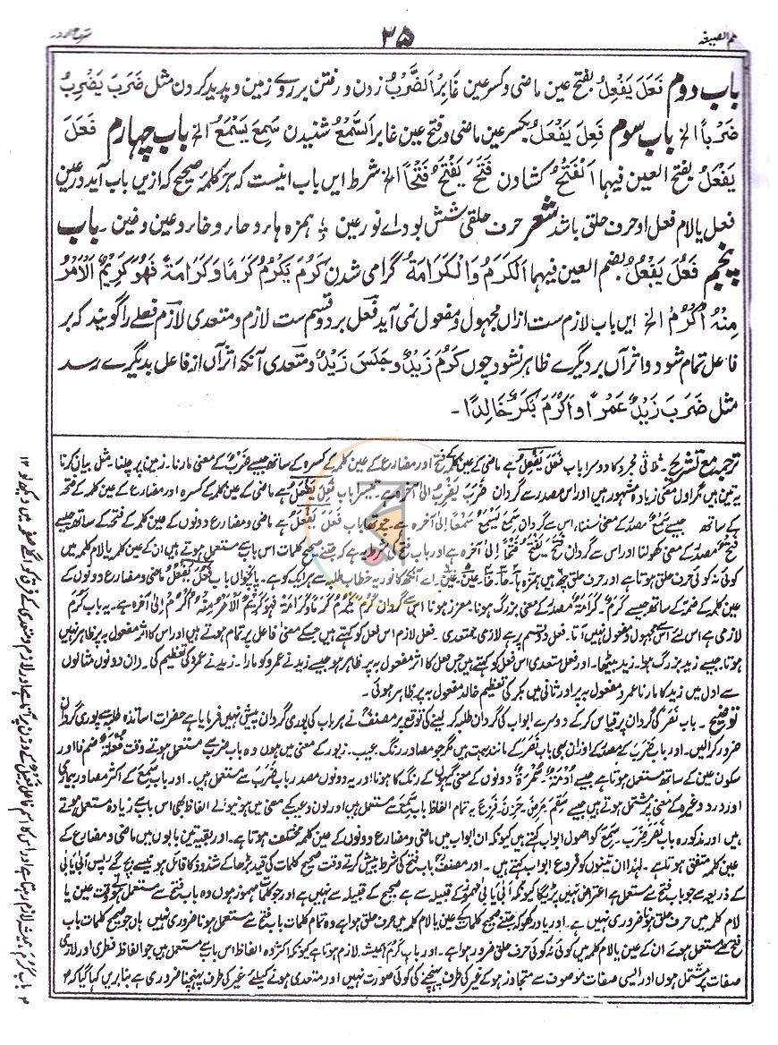 পাতা 11