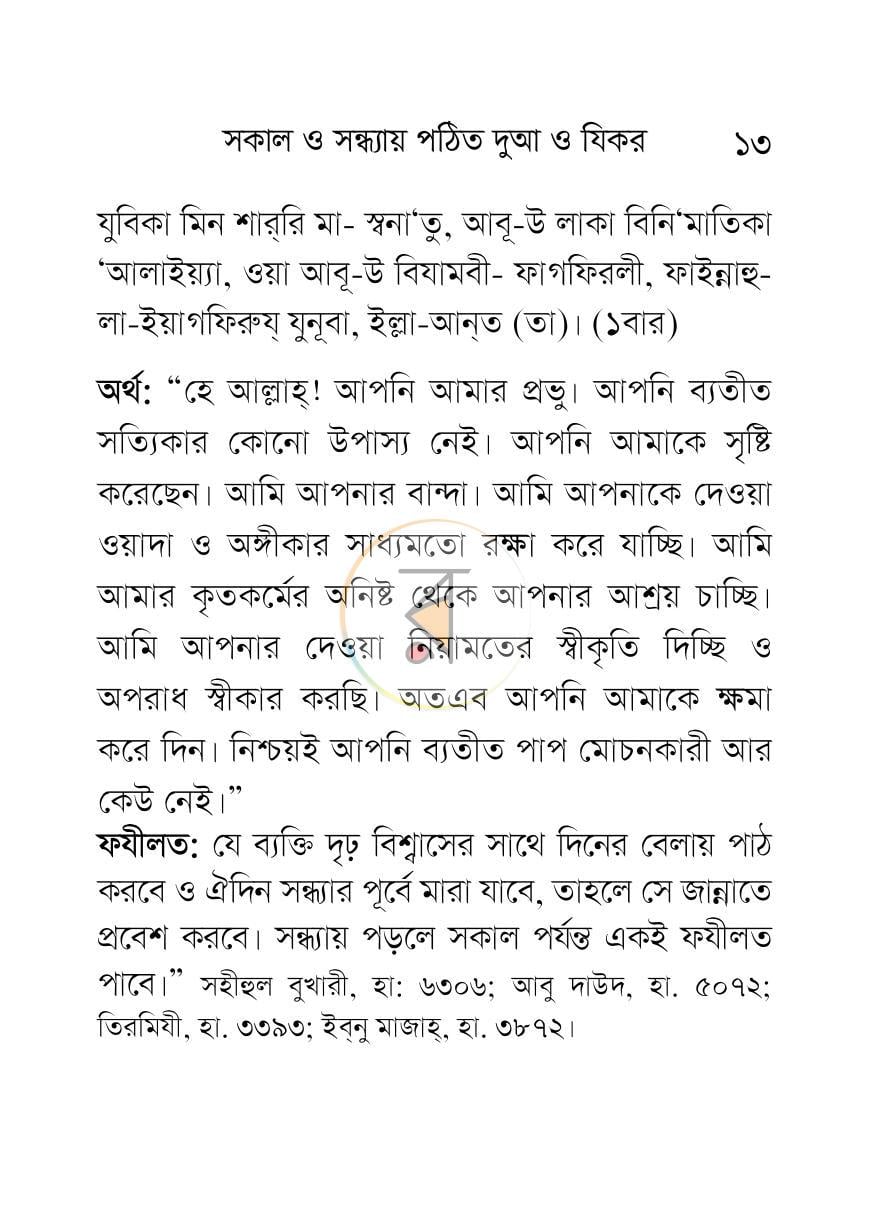 পাতা 13